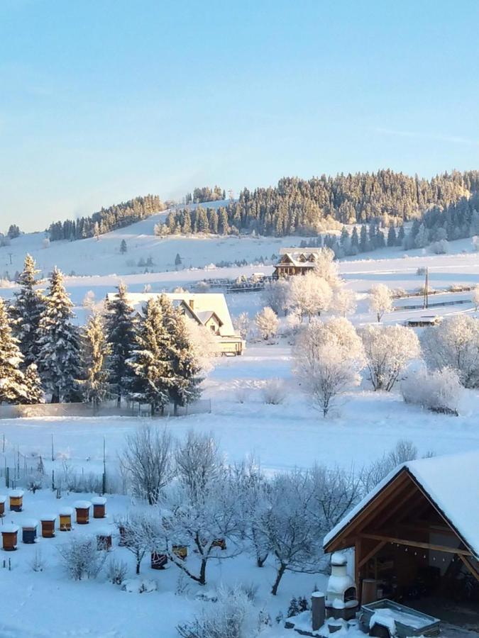Apartmán To Tu Czarna Góra Exteriér fotografie