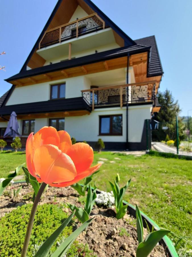Apartmán To Tu Czarna Góra Exteriér fotografie